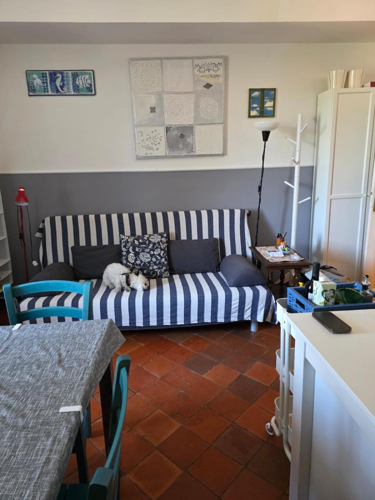 The Shell - New Interior Look But Same Old Charme 200Mt From The Sea With Garden And Parking Nearby Apartamento Imperia Exterior foto