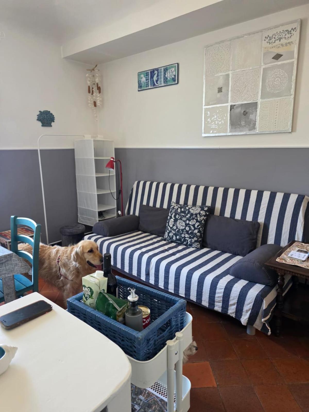 The Shell - New Interior Look But Same Old Charme 200Mt From The Sea With Garden And Parking Nearby Apartamento Imperia Exterior foto